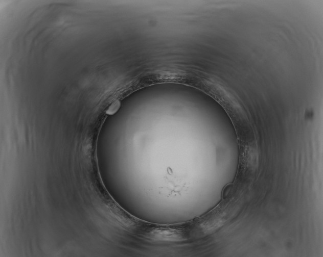 X0000094780557200711241341