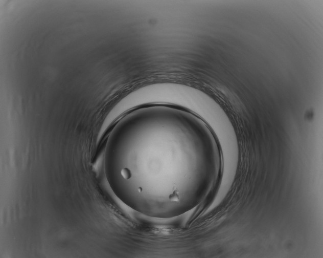 X0000094780558200711241341