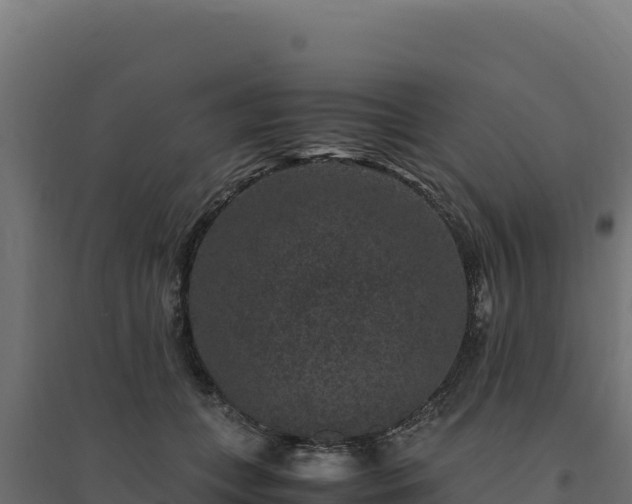 X0000094780559200711241341
