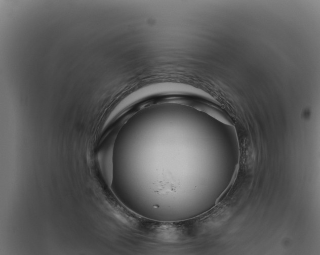 X0000094780562200711241341