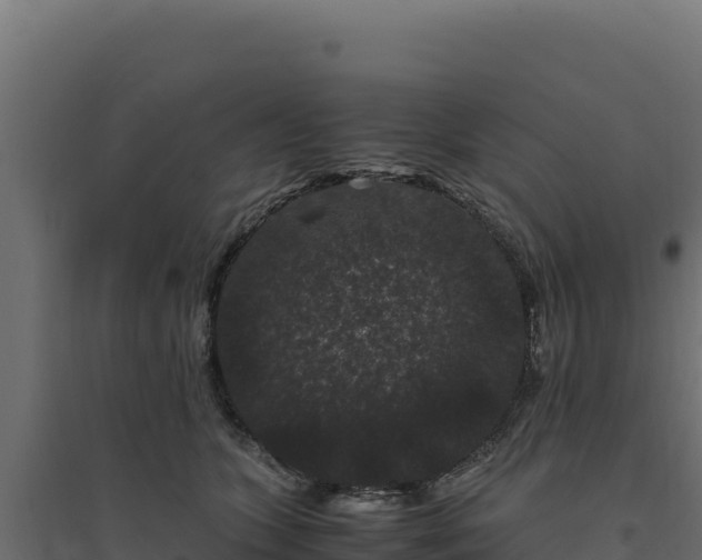 X0000094780563200711241341