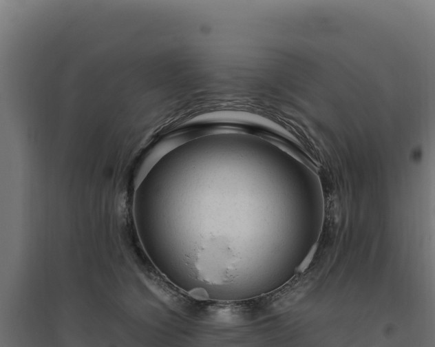 X0000094780564200711241341