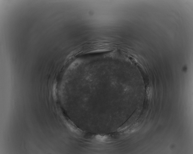 X0000094780570200711241342