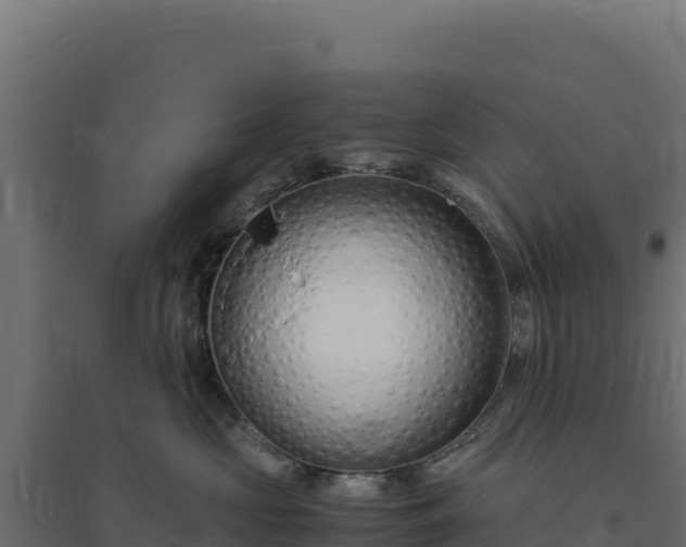 X0000094780573200711241342