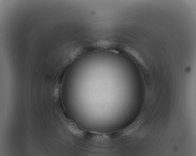 X0000094780576200711241342
