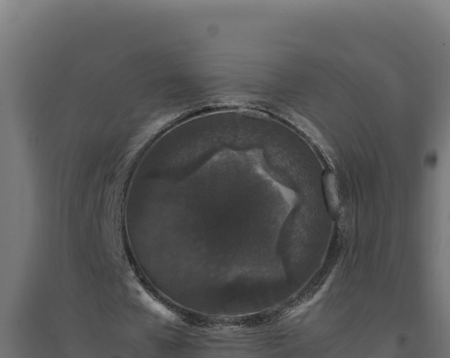 X0000094780577200711241341