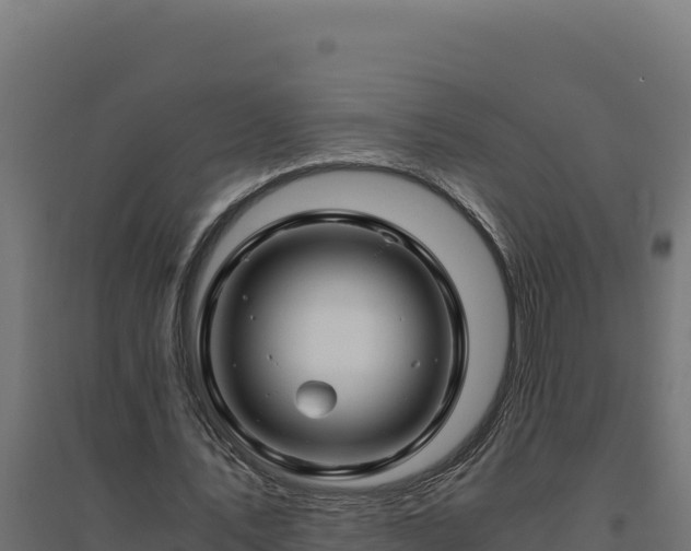 X0000094780579200711241341