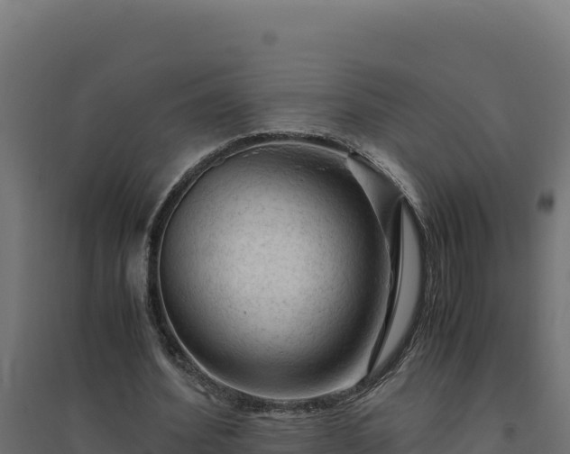 X0000094780580200711241341