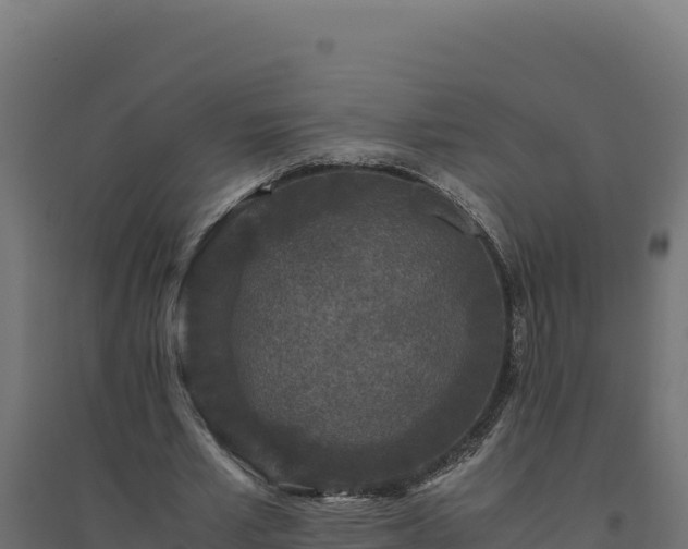 X0000094780581200711241341