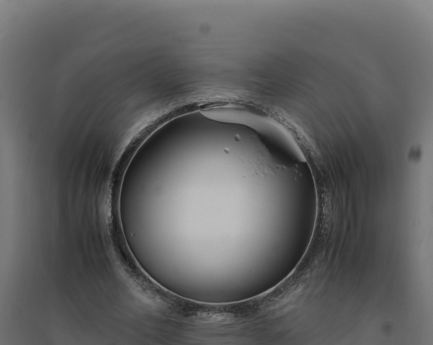 X0000094780582200711241341