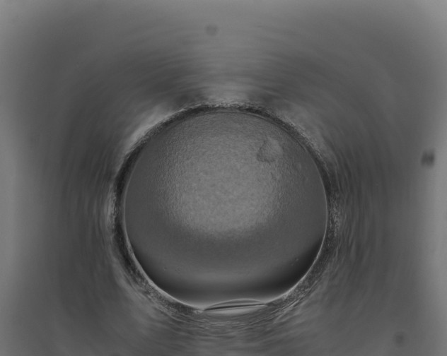 X0000094780583200711241341