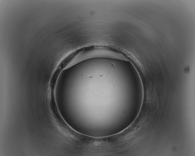 X0000094780584200711241341