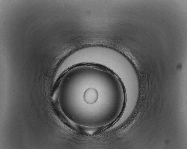 X0000094780585200711241341