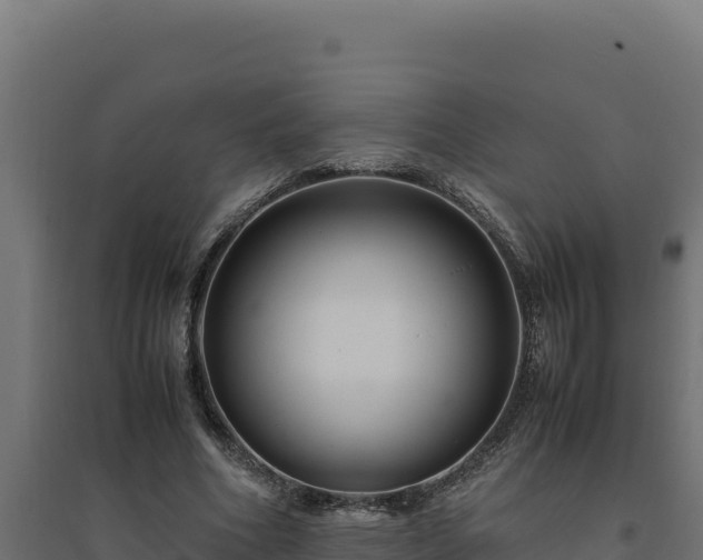 X0000094780586200711241341