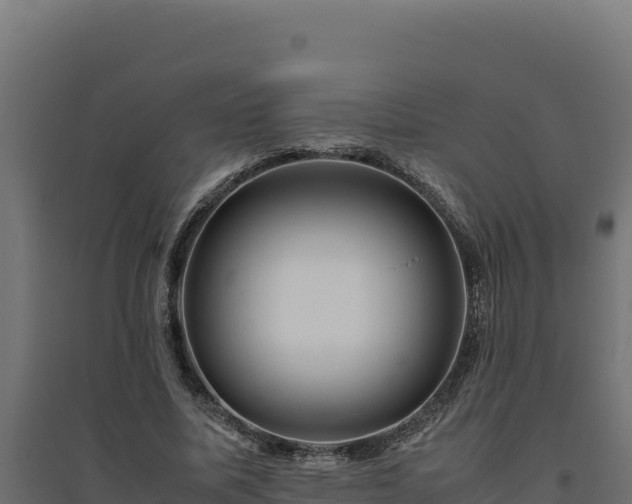 X0000094780587200711241341