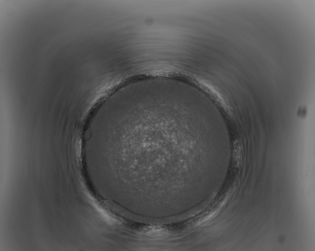 X0000094780589200711241341