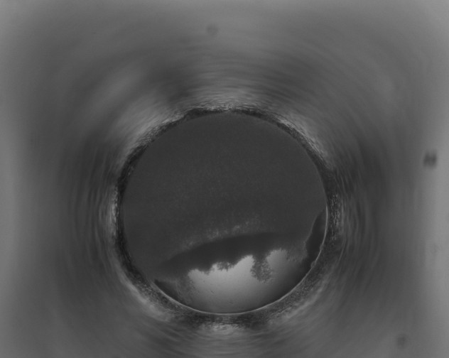 X0000094780590200711241341