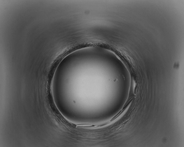 X0000094780591200711241341