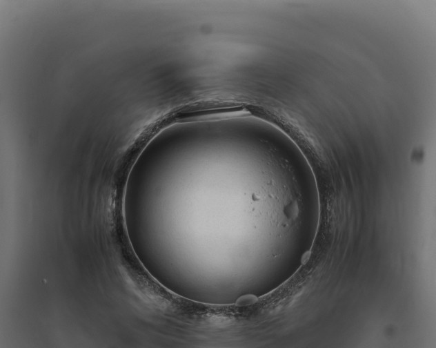 X0000094780592200711241341