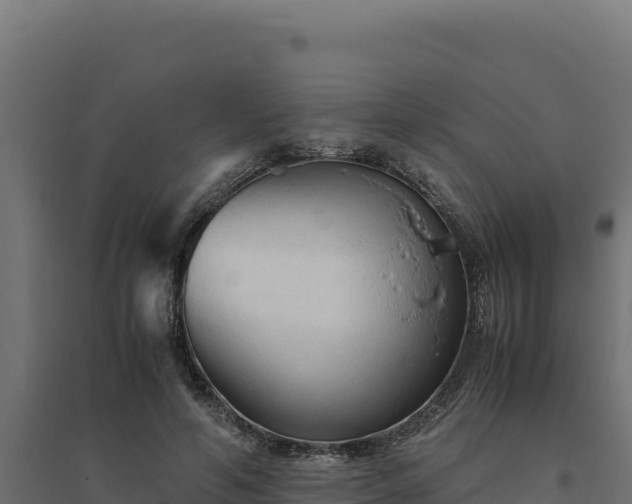 X0000094780594200711241341