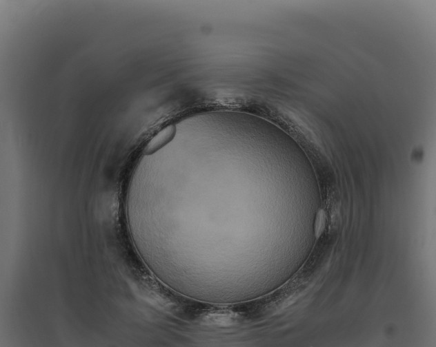 X0000094780595200711241341