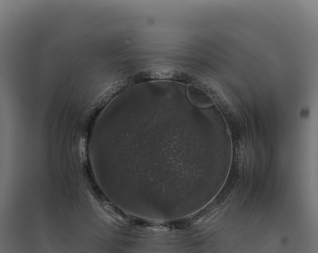 X0000094780598200711241341