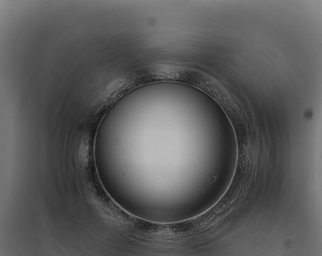 X0000094780600200711241341