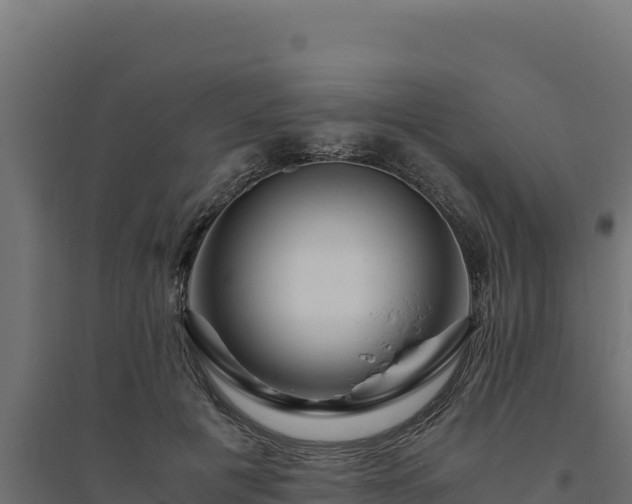 X0000094780601200711241341