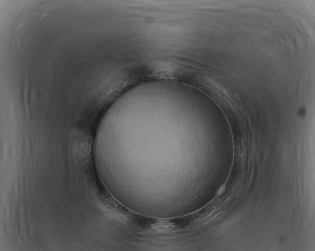 X0000094780603200711241341