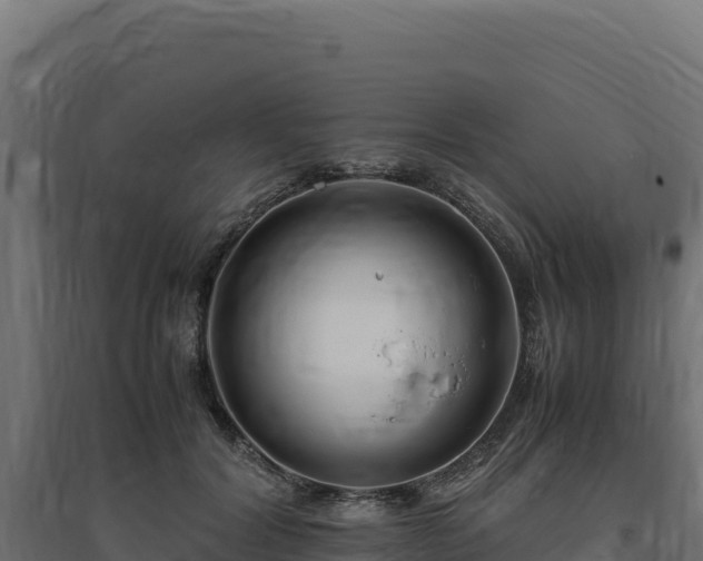 X0000094780604200711241341