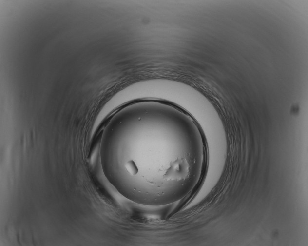 X0000094780605200711241341