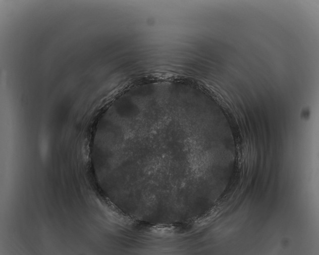 X0000094780606200711241341