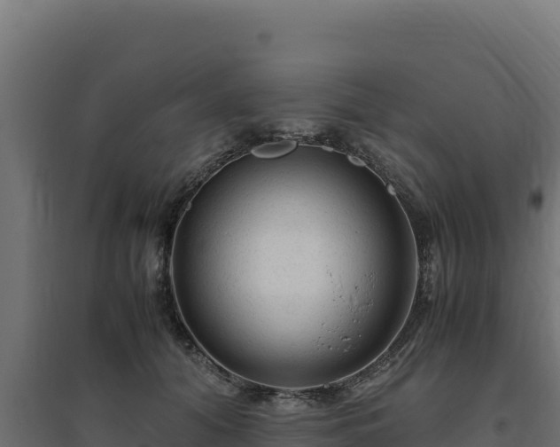 X0000094780608200711241340