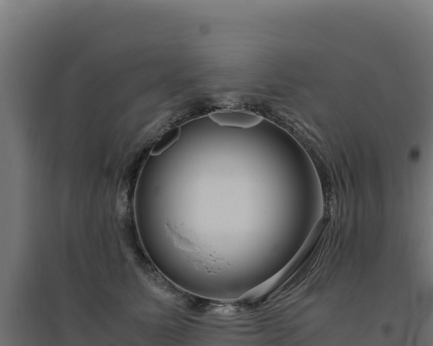 X0000094780611200711241340