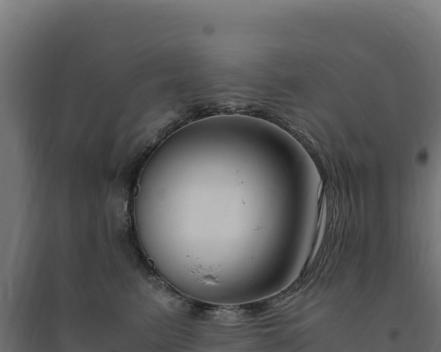 X0000094780615200711241340