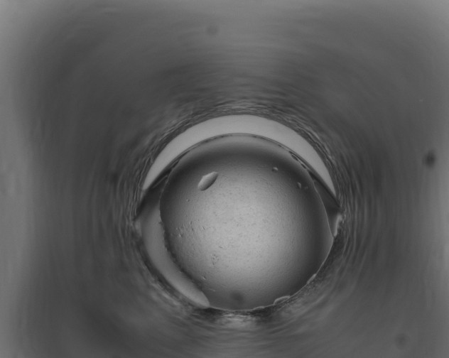 X0000094780617200711241340
