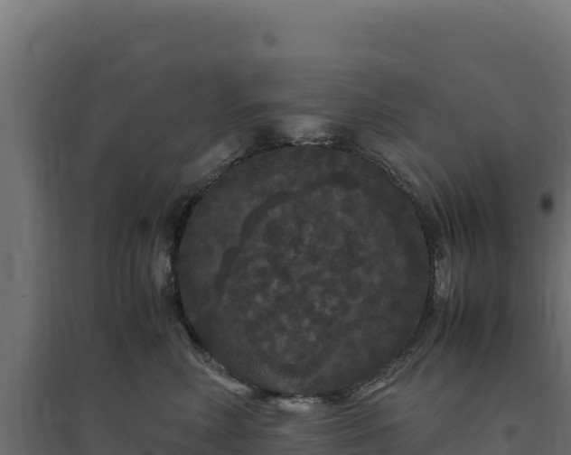 X0000094780618200711241340