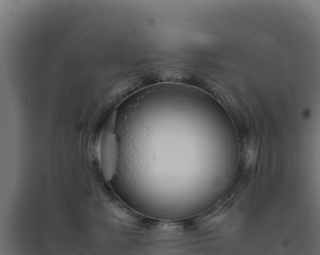 X0000094780619200711241340