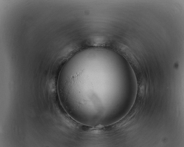 X0000094780620200711241340
