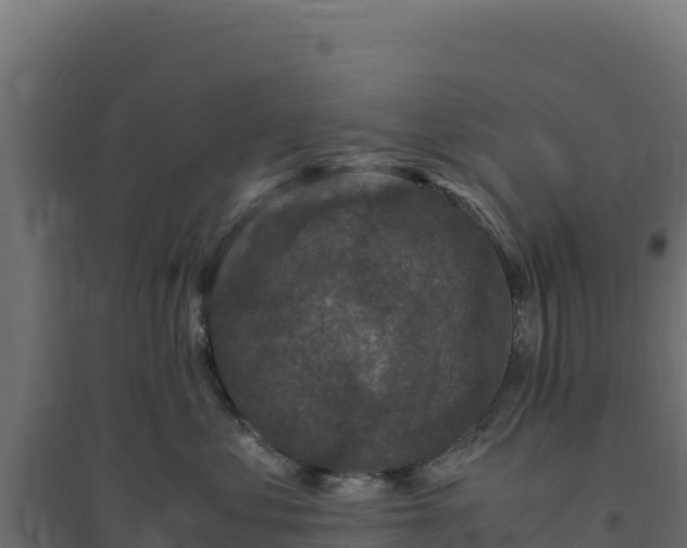 X0000094780621200711241340