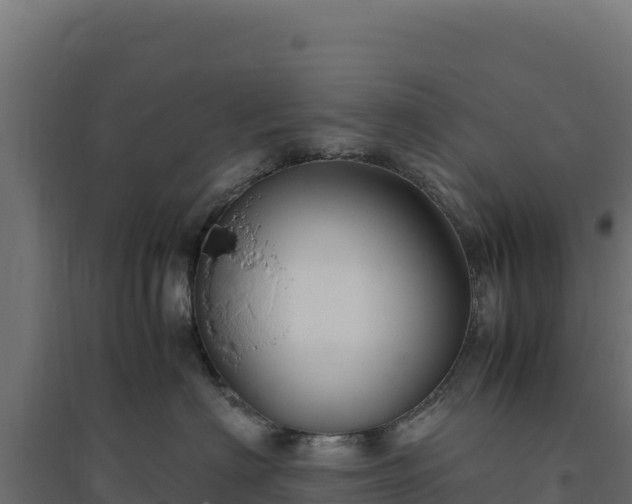 X0000094780622200711241340