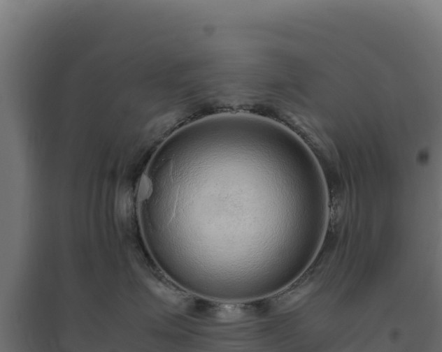 X0000094780623200711241340