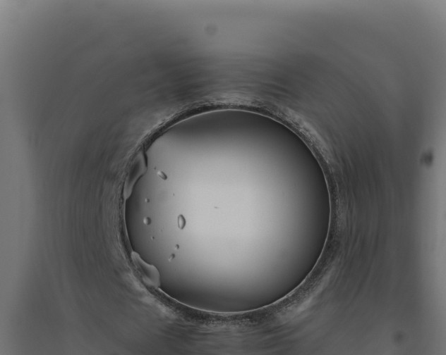X0000094780625200711241339