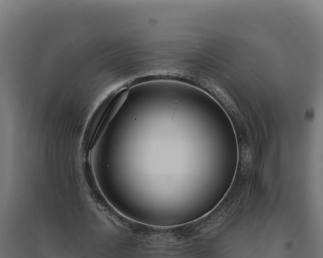 X0000094780628200711241339