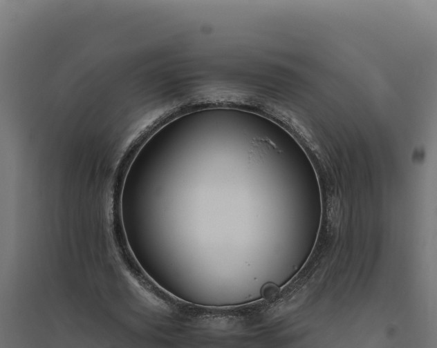 X0000094780629200711241339