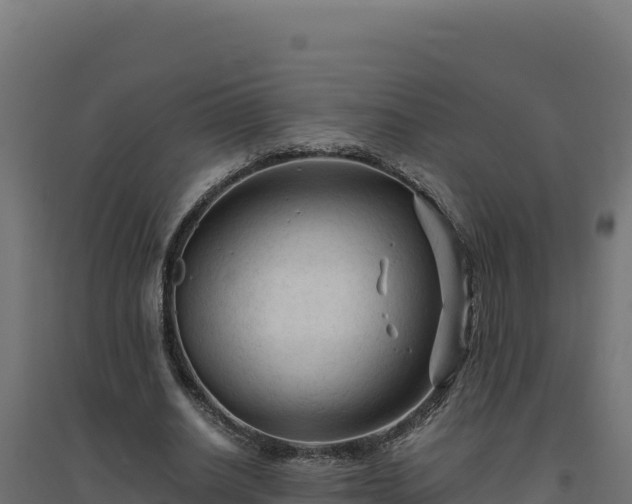X0000094780630200711241340