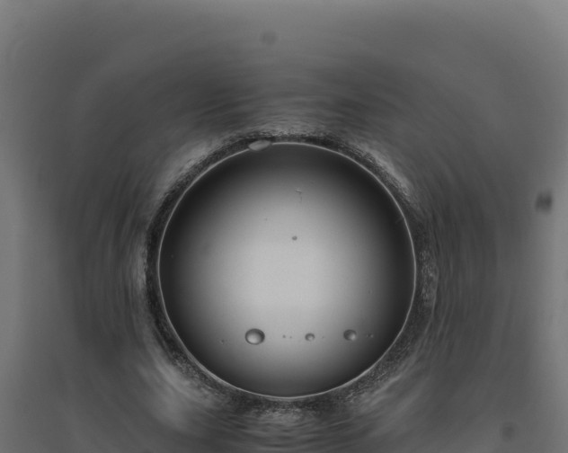 X0000094780631200711241340