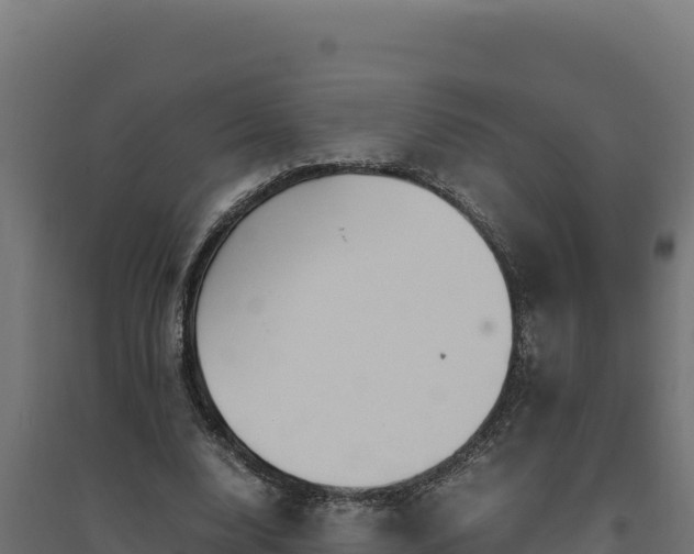 X0000094780632200711241340