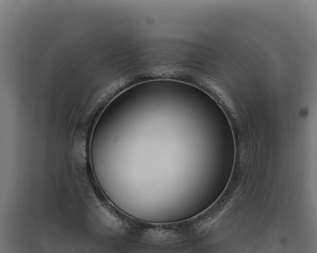 X0000094780633200711241340