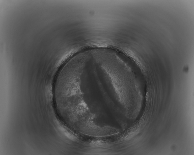 X0000094780634200711241340